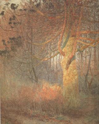 Emile Claus Tree in the Sun (nn02) oil painting picture